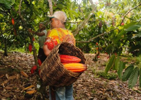 Marketing regenerativo: a nova era do impacto positivo nas marcas